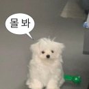 안녕하세요 이미지