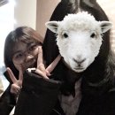 450002 네이버블로그