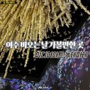달빛하우스 | 여수실내가볼만한곳 비오는 날 데이트 미디어아트 녹테마레