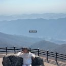 상어치 입구 | 광양 백운산 최단코스 추천 한재코스 등산지도, 주차정보 매화축제 등산 후기
