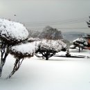 부론중학교 이미지