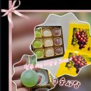 구술집 | 전주 한옥마을 기념품 구술사탕 리뷰 | 선물하기 좋은 여행 간식아이템