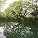 향기4로+향기5로 이미지