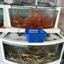 제일수산유통