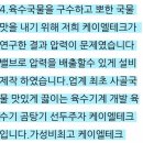 돌쇠네곰탕