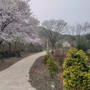 홍산관광농원 이미지