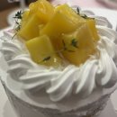 해피해피케이크 | 동탄 롯데백화점 케이크 맛집 해피베어데이 망고케이크 후기