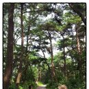 [충남 아산 2]1일차 오전코스-외암민속마을,봉곡사