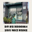 퍼피야미 이미지