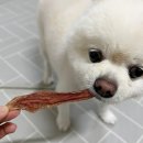 꾸이네펫푸드 이미지