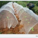 무랑농장 이미지