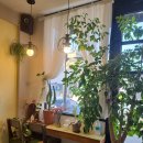 커피인성주점 이미지