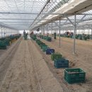 삼싹농장 이미지