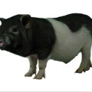 나래시스템 이미지