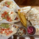 타코바이트 이미지