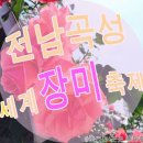 나라안여행 이미지