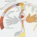산성한의원 이미지