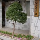 계양산지구대 이미지