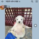 올린의원 이미지