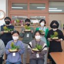 백신중학교 이미지