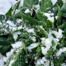 신안농장 이미지