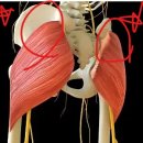 (주)1986피트니스 중산점 이미지