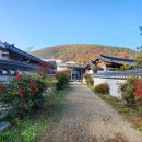 소소아 - 35783 | 소소아
