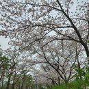 무등파크 골프연습장 이미지