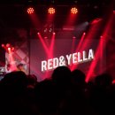 라이브레드 이미지