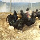 현내농장 이미지