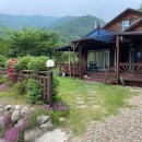 곰골스카이 이미지