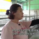 박영철농장 네이버블로그