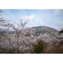 골체오름 이미지