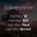 인셀덤 희망 네이버블로그
