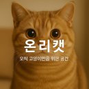 온리캣 이미지