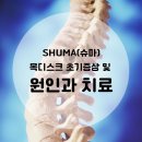 바른체형 의료기 이미지