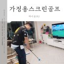 풀스윙스크린골프 | 가정용스크린골프 스윙연습기 파이골프 후기
