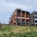 월정씨하루 이미지