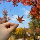 현솔루션 네이버블로그