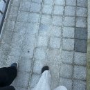 삼동소바의왕 네이버블로그