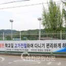 연천태권도 이미지