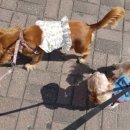 용문동물병원 이미지