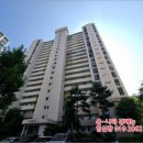 경기 성남시 분당구 성남 아파트경매 물건 2025타경2868