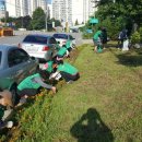 온천대로 이미지