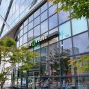 올리브영 19년 상반기 VIP키트 당첨 및 수령 후기 : 필리밀리 릴리에디션 브러쉬세트