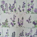 천아트(주간) 이미지