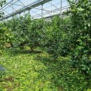 성이농장 이미지