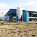 손대성축사 이미지