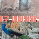 물곁에서