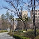 압구정-110 이미지